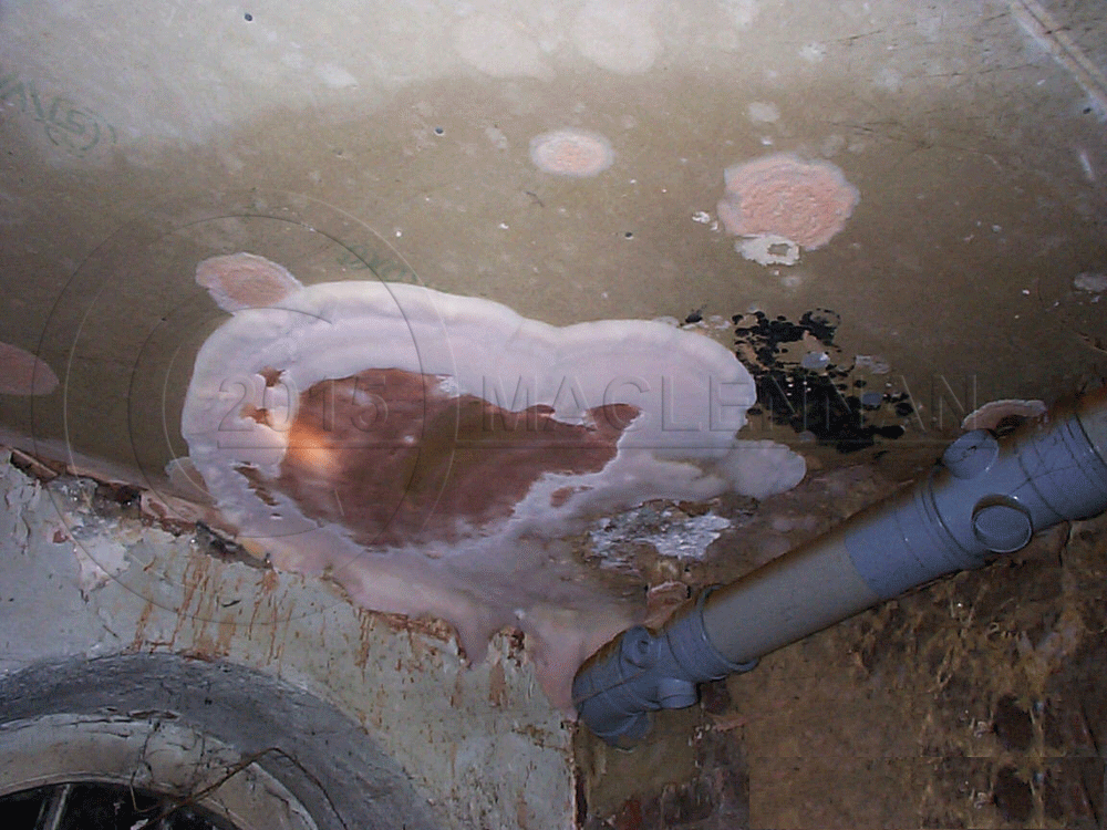 Dry Rot Building Preservation